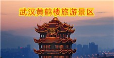 被一群大鸡巴操的网址