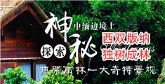 操白虎屄视频